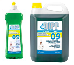 dipp-09a