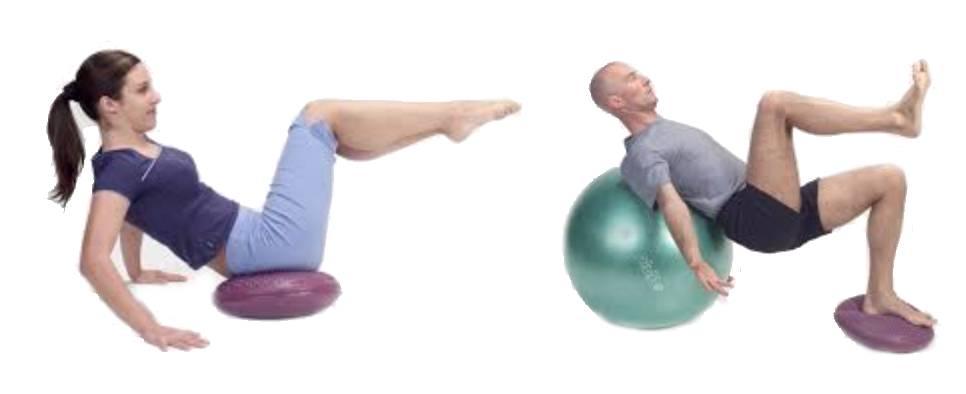 Propriodisc